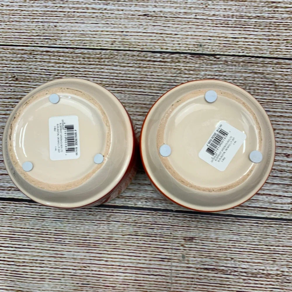 Set of 2 Ceramic Planters Striped Sunset Colors 4 Inch‎ Mini Rose